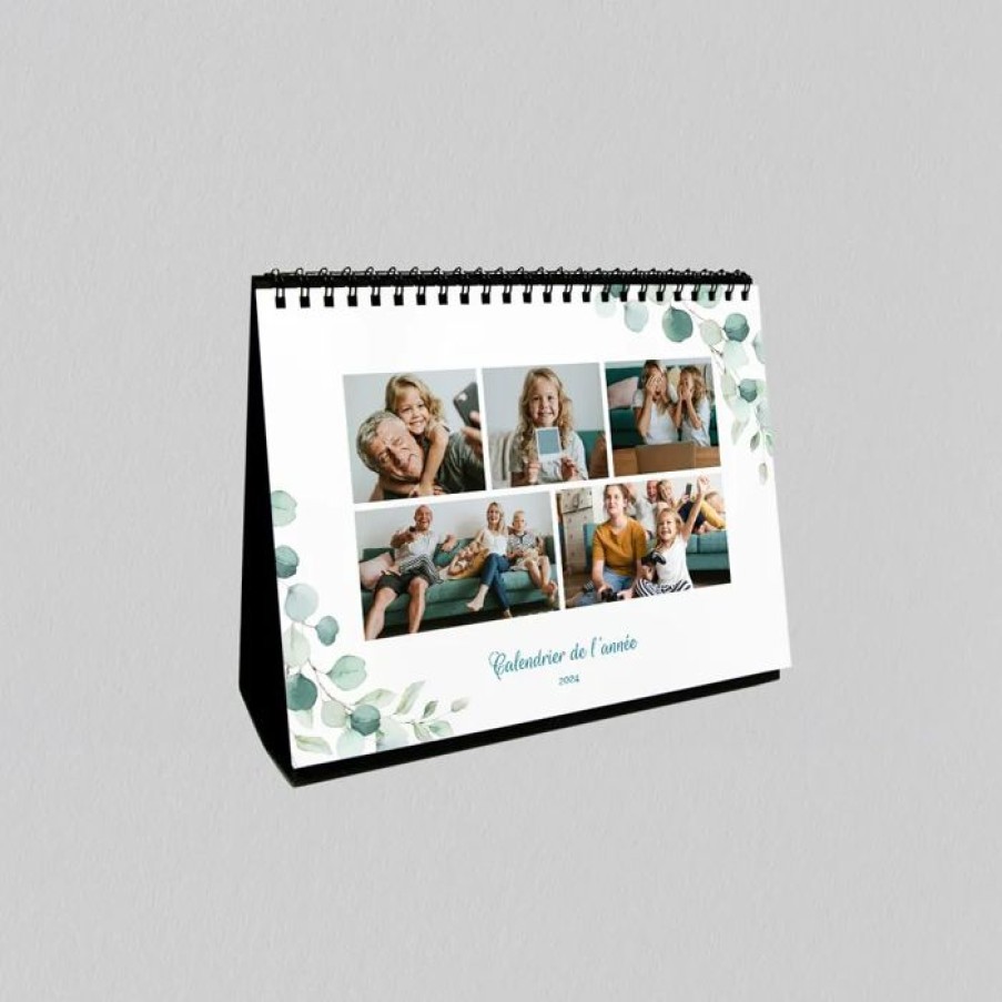 Wholesale Planet cards Calendrier Photo De Bureau Eucalyptus Et Photo