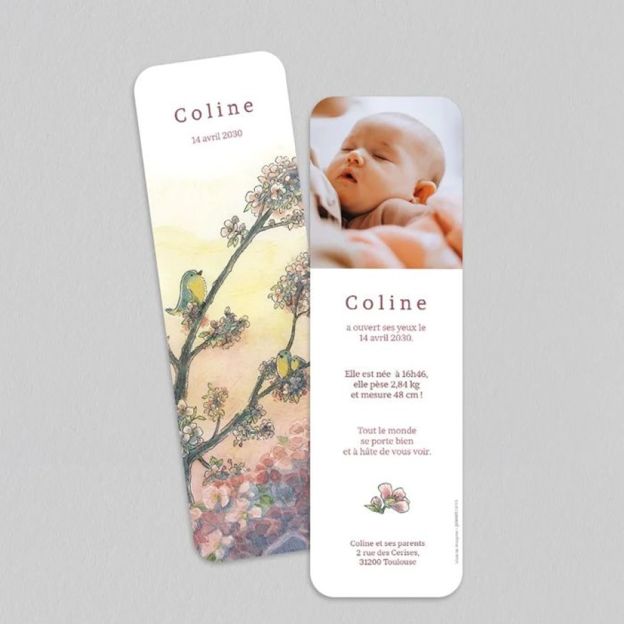 Wholesale Planet cards Faire Part Naissance Oiseaux Sur Branche