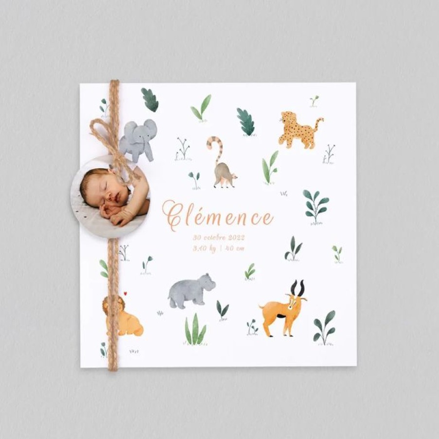 Clearance Planet cards Faire Part Naissance Savane Et Motifs