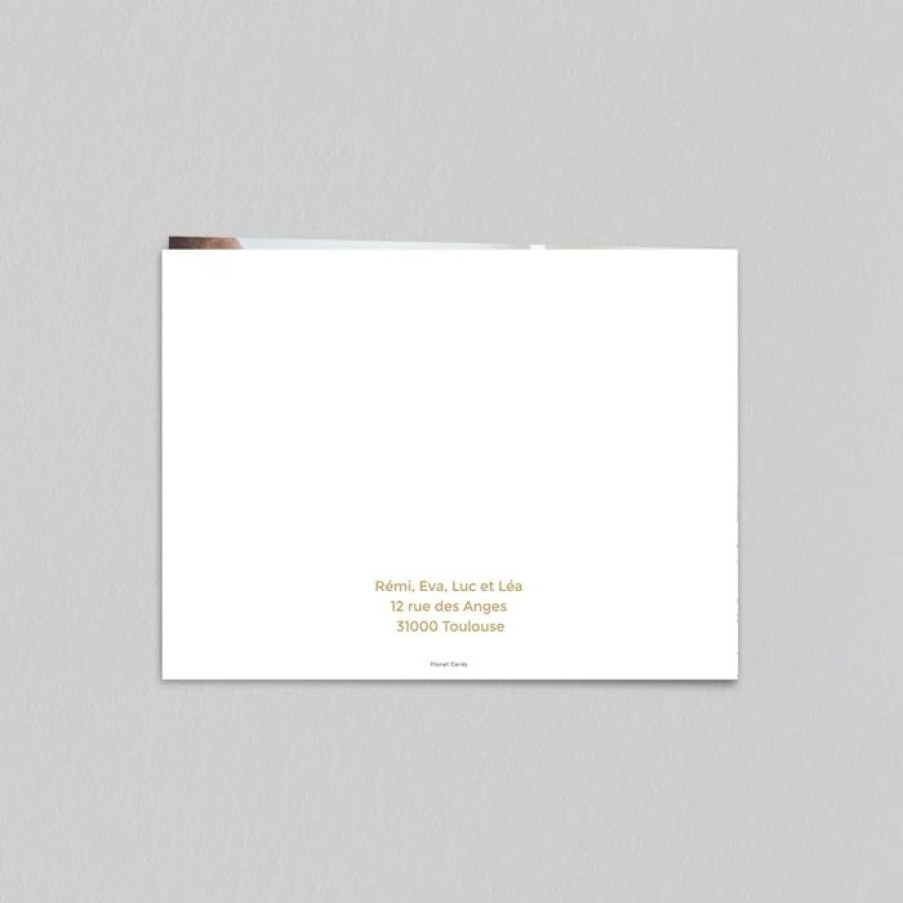 Wholesale Planet cards Carte De Voeux Fleur Minimale