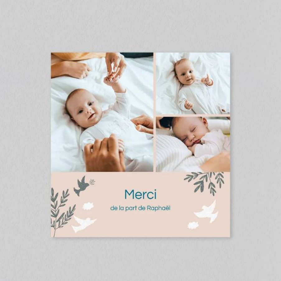 Clearance Planet cards Remerciement Bapteme Colombes Et Vegetaux Garcon